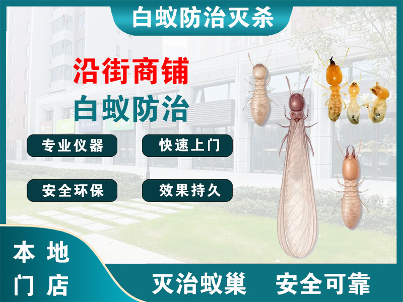 虹口沿街商铺白蚁防治
