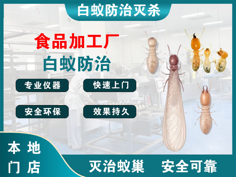 虹口食品加工厂白蚁防治