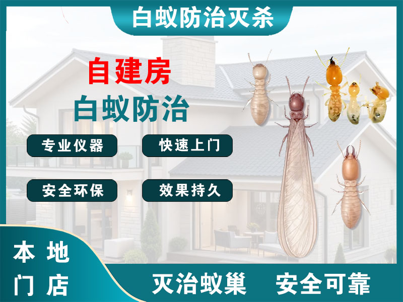 虹口自建房白蚁防治