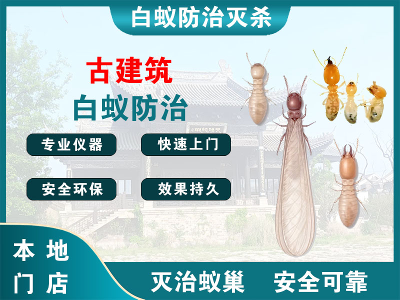 虹口古建筑白蚁防治
